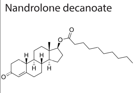 Nandrolonedecanoate (2).png