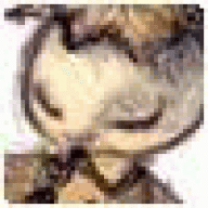 Spoottalt