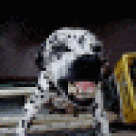 Ãåéãåé ôîðóì