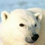 RealBear