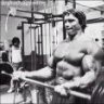 arnold's enthusiast