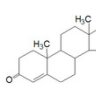 transporter protein