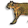 THORE