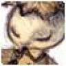 Spoottalt