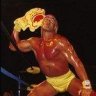 Hulkamaniac!