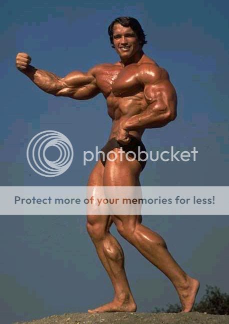 Arnold_Schwarzenegger_873.jpg
