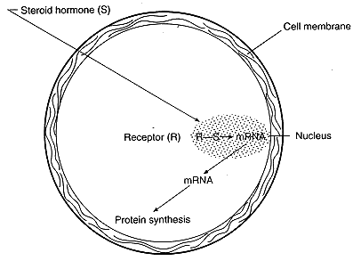 fig_4_9.gif