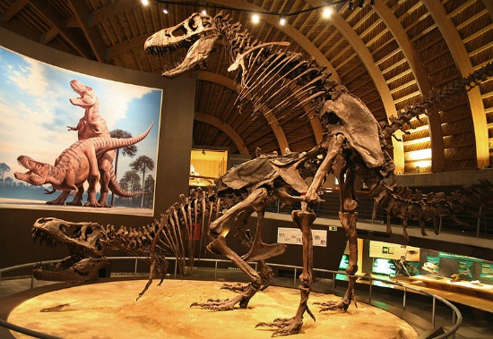 tyrannosaurus-mating-large.jpg