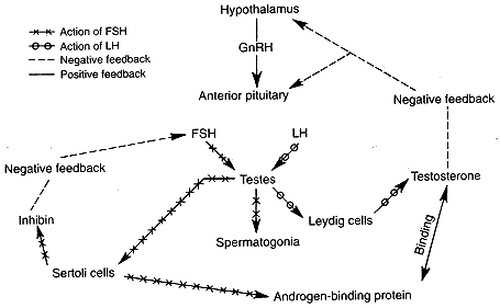 fig_4_6.gif