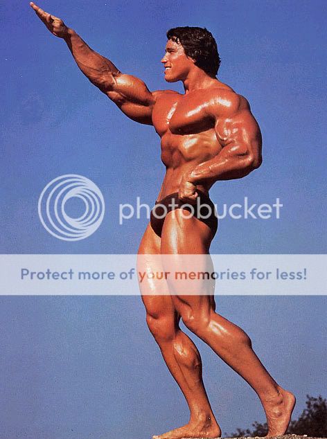Arnold_Schwarzenegger_98.jpg