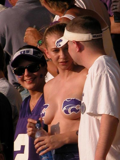 kstate_wildcat_lg-768076.jpg