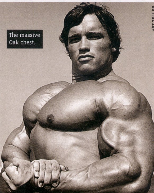 Arnold-schwarzenegger-oak-chest-muscles.jpg